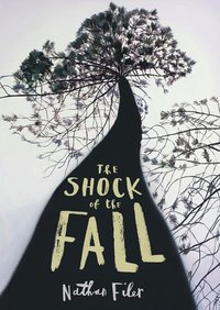 pf-Filer- The Shock of the Fall